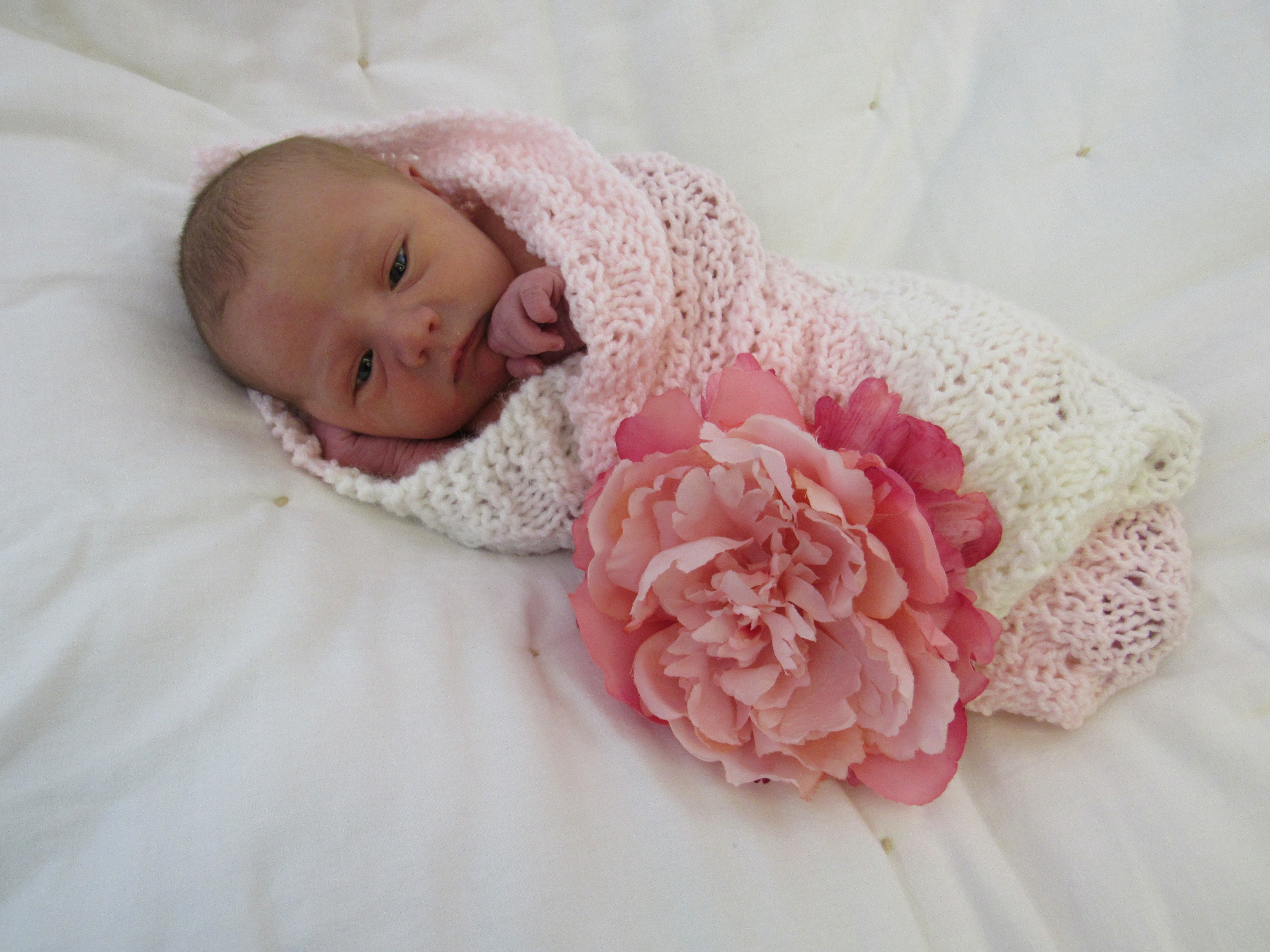 Esmae Lynn Online Nursery Aspirus Health Care Esmae Lynn