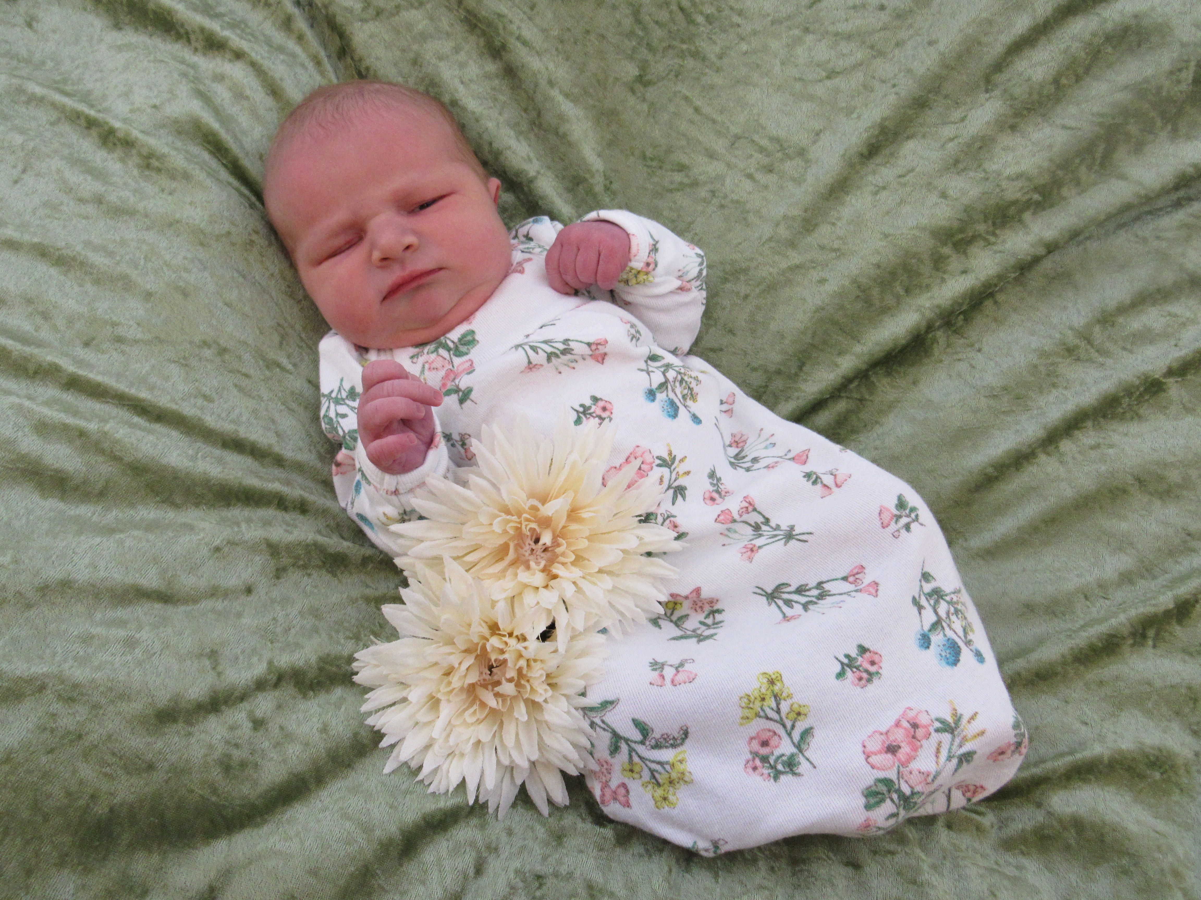 Online Nursery Aspirus Health Care Online Nursery Aspirus Health Care