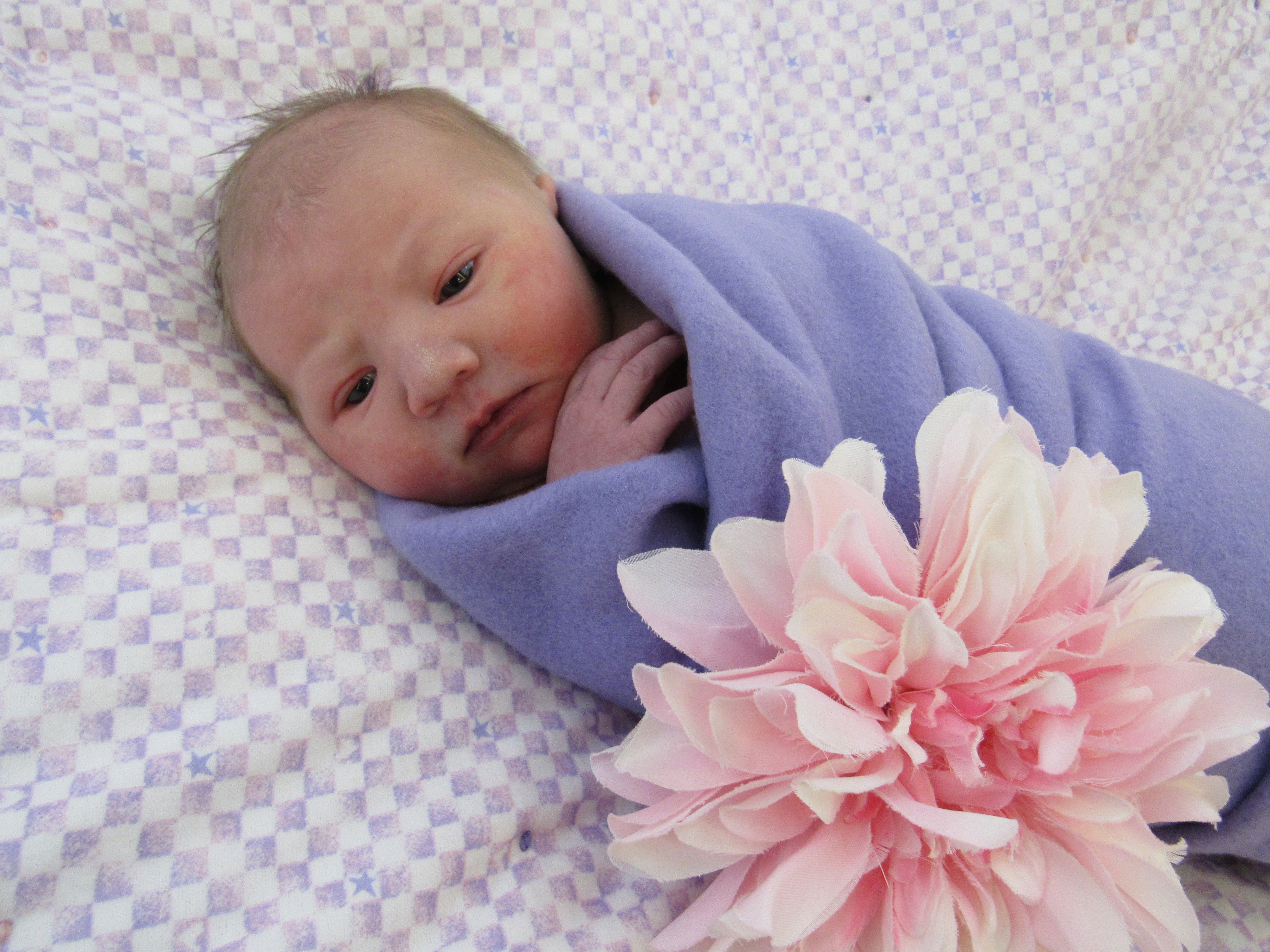 Online Nursery Aspirus Health Care Online Nursery Aspirus Health Care